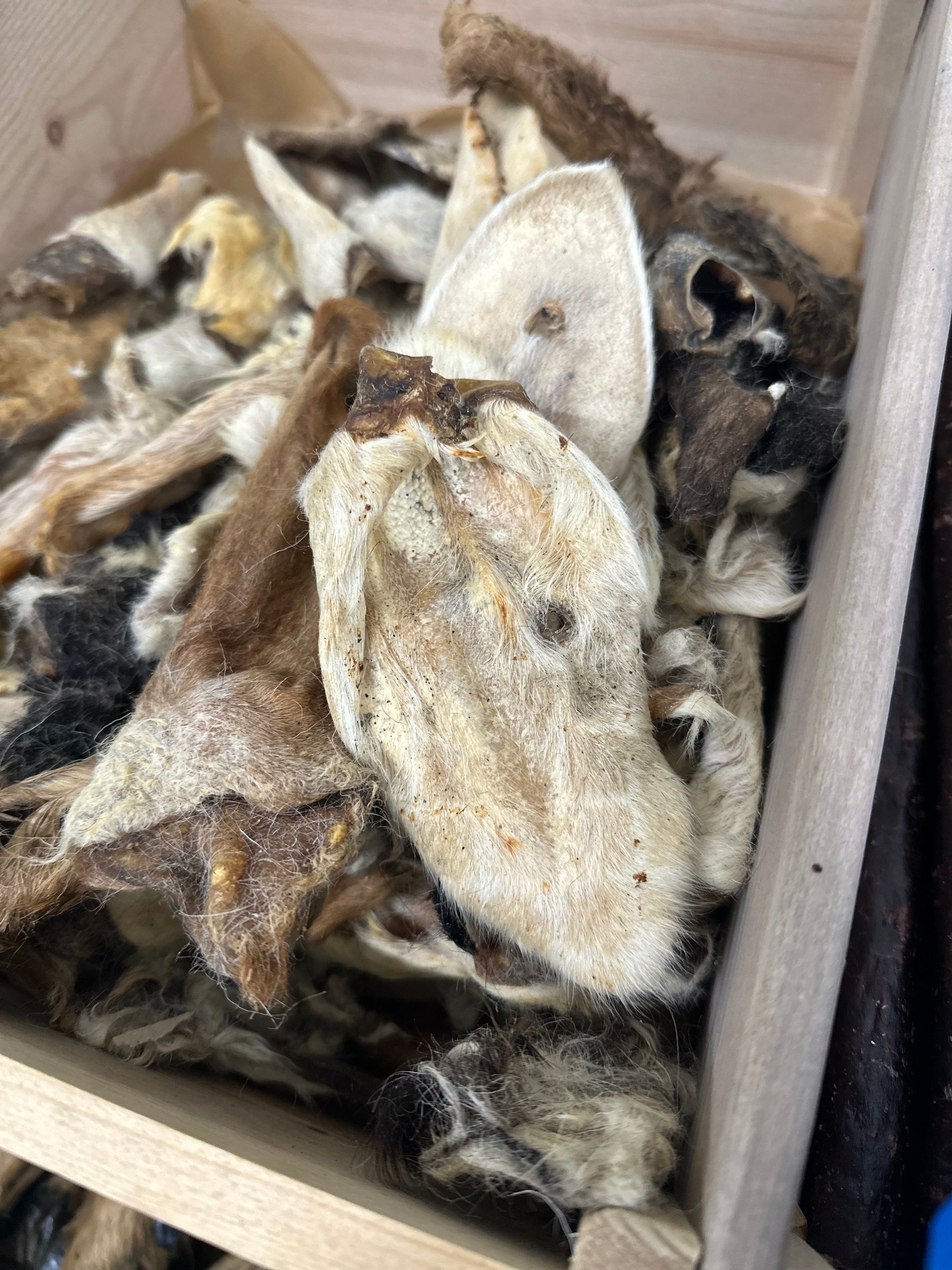 Anco Naturals Hairy Lamb Ears