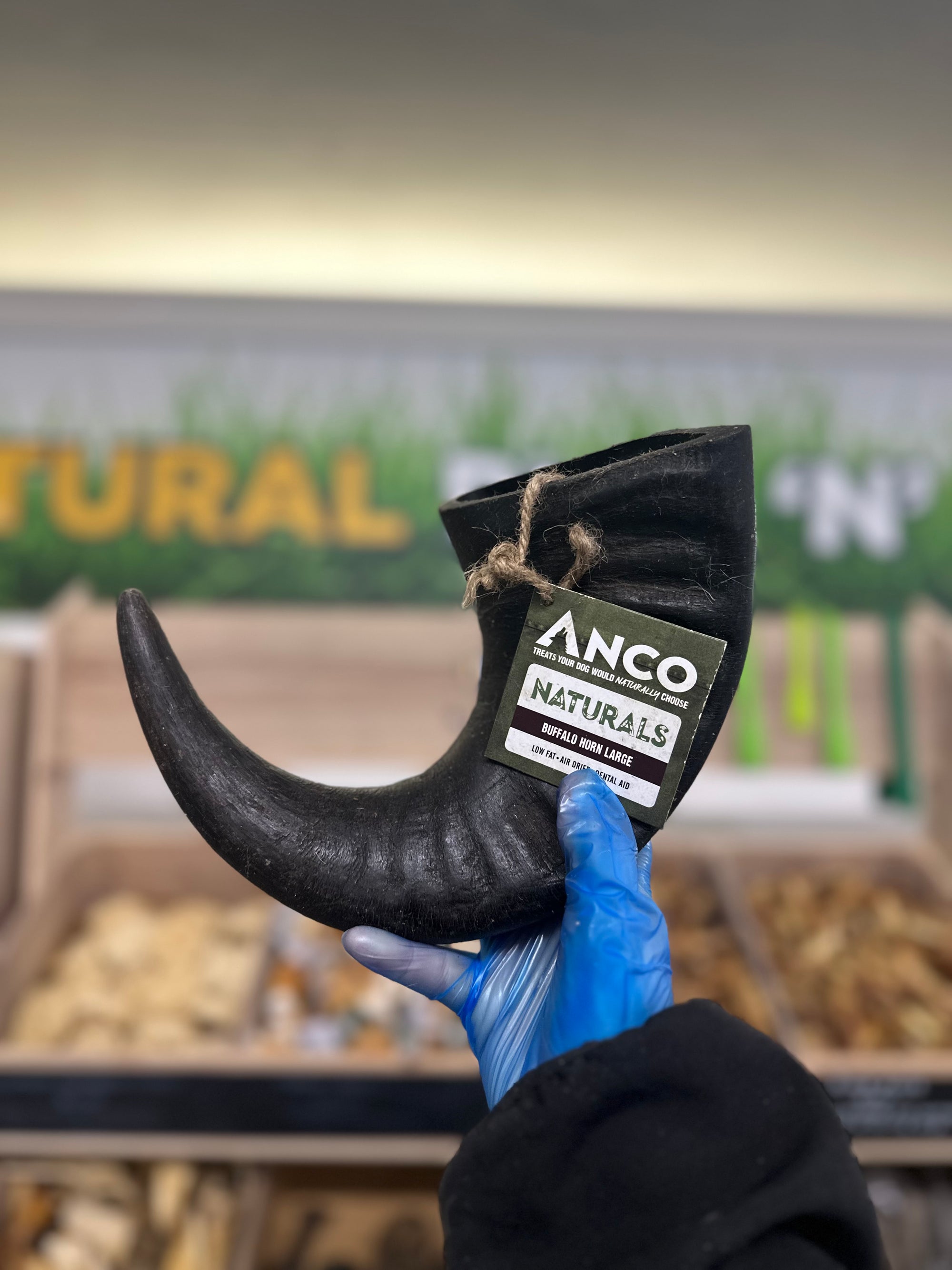 Anco Large Buffalo Horn