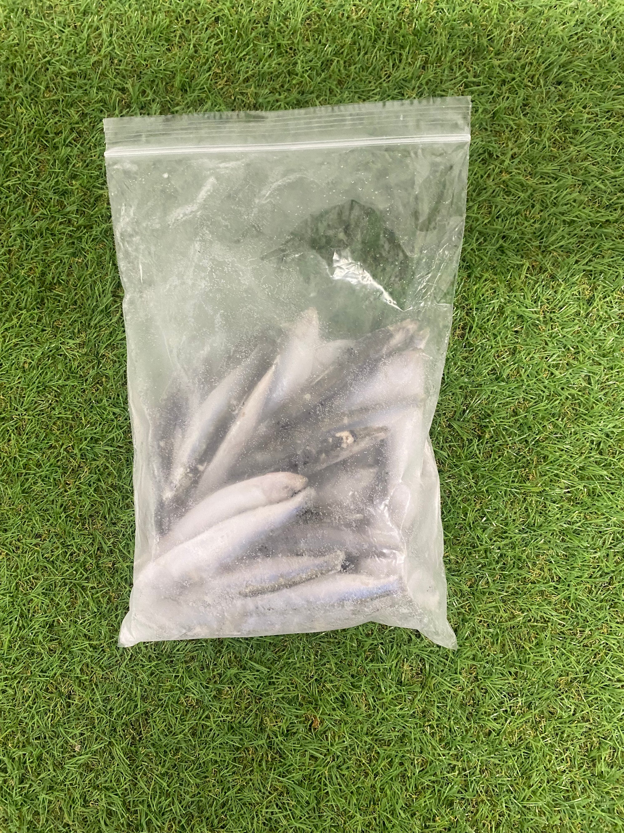 Sprats 500g