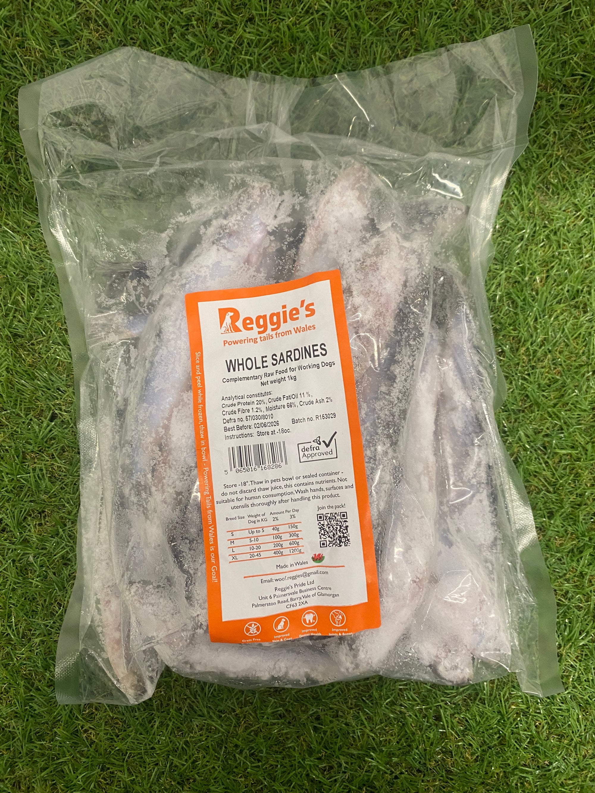 Reggies Sardines 1kg