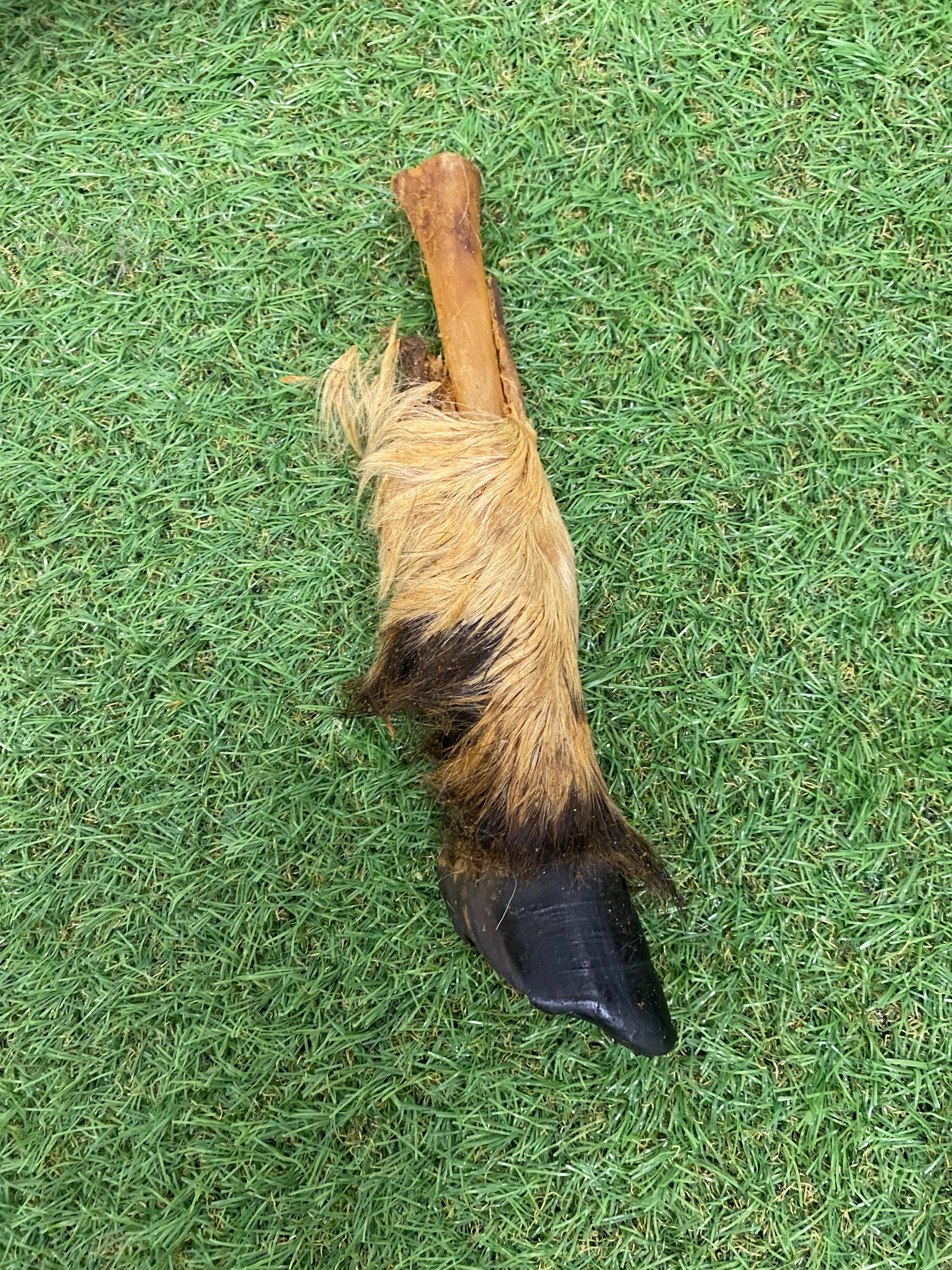 Anco Naturals Hairy Goat Feet