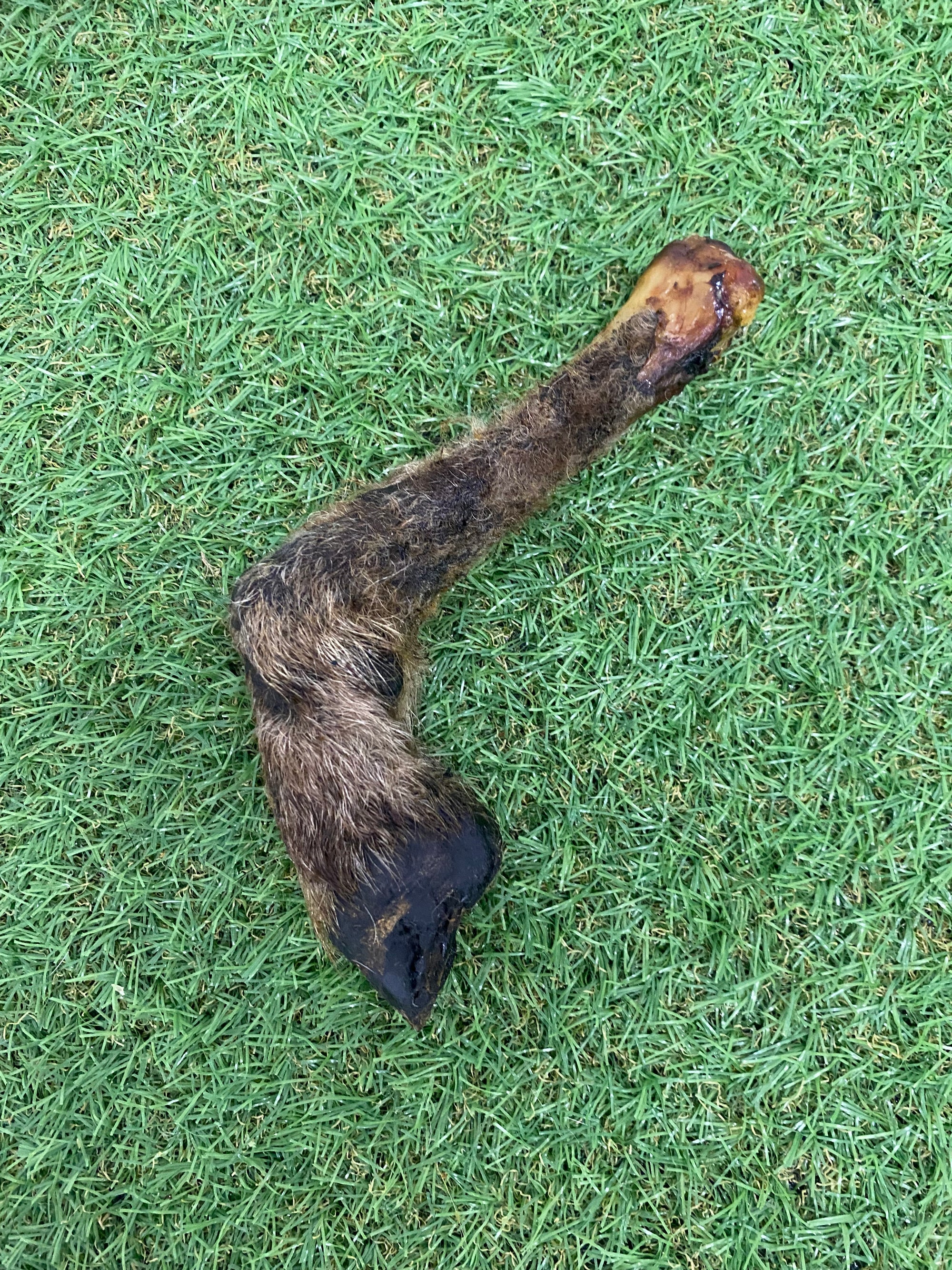 Anco Naturals Hairy Lamb Trotter