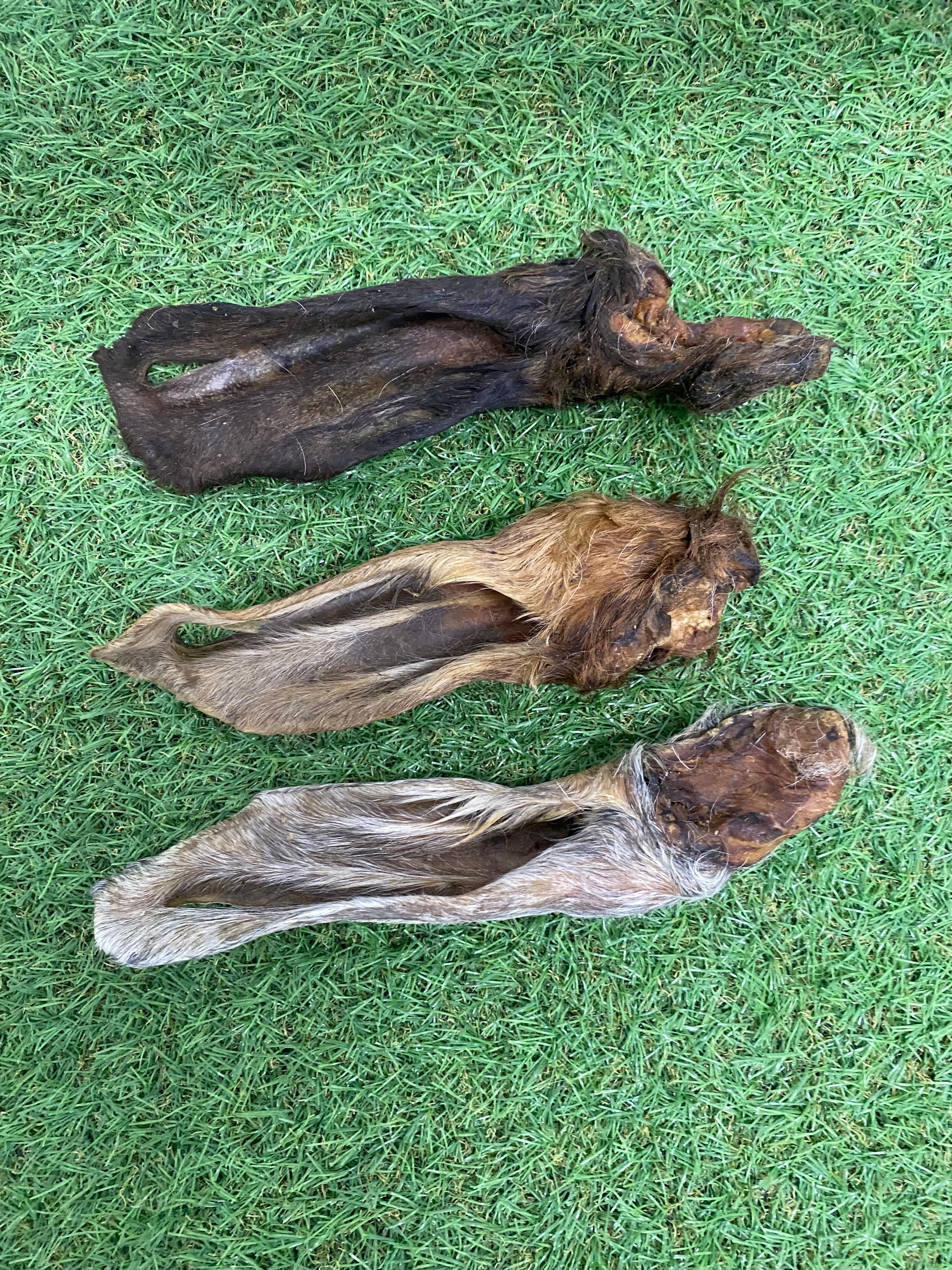 Anco Naturals Hairy Goat Ear