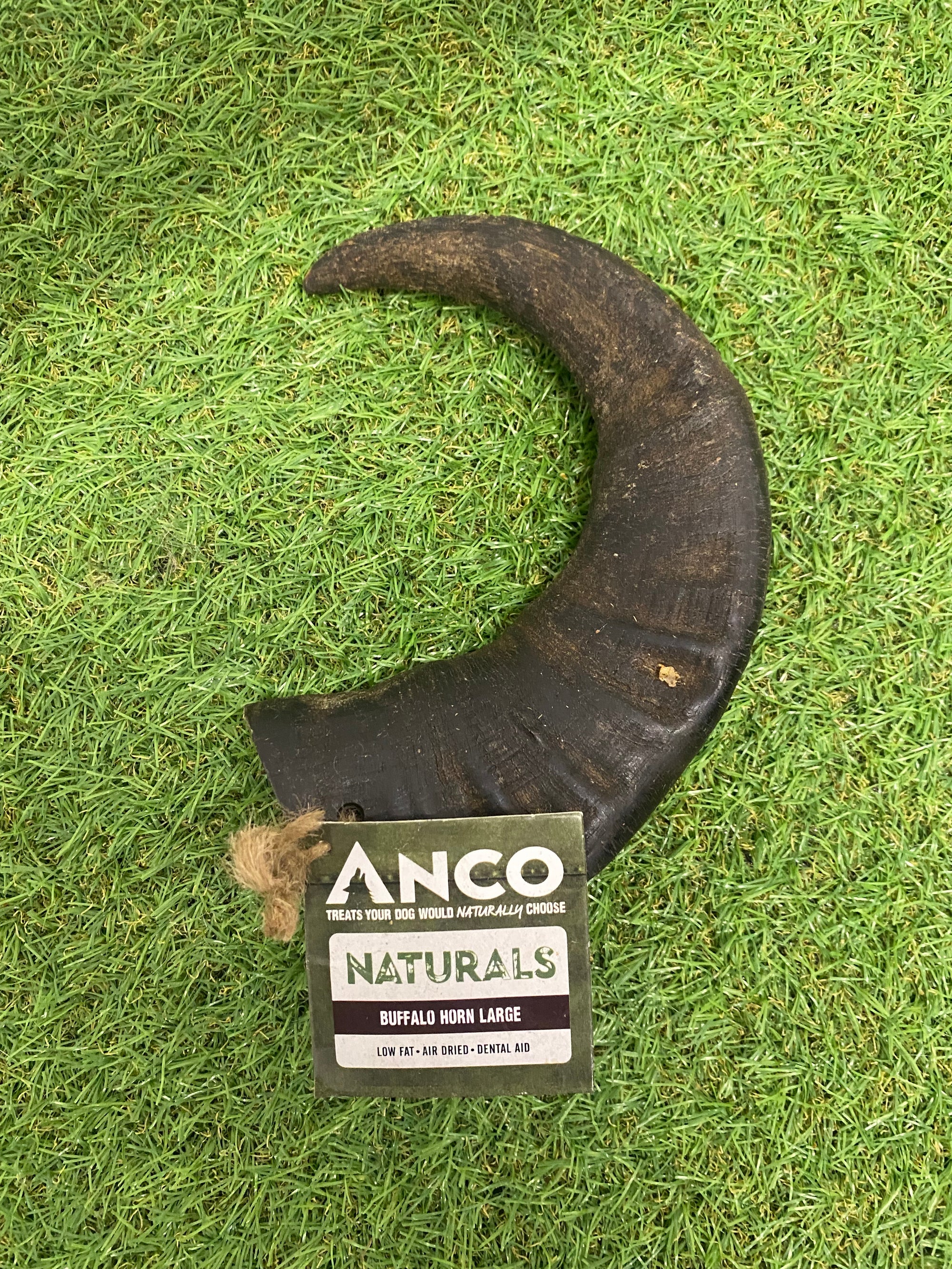 Anco Large Buffalo Horn