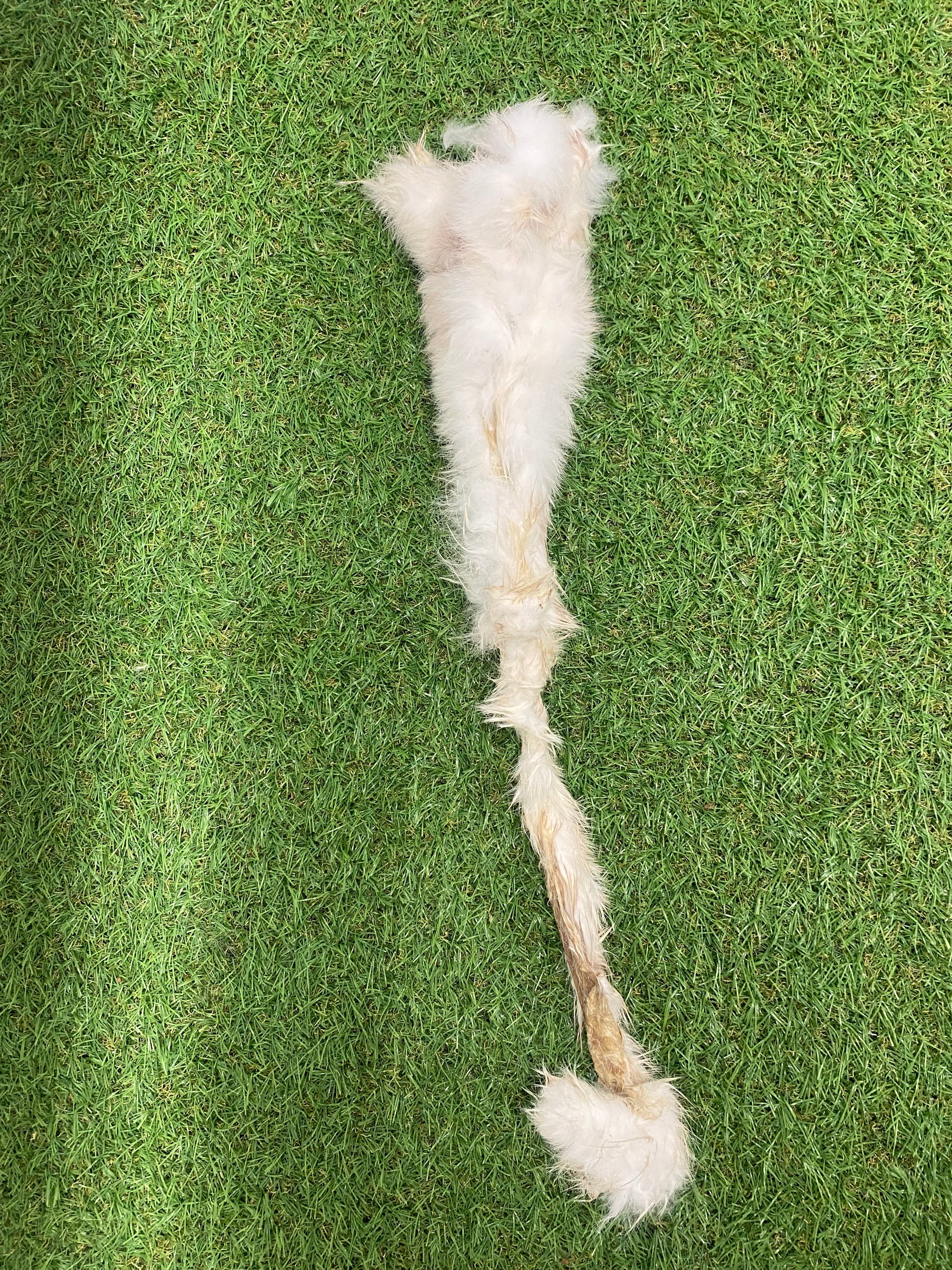 Hairy Rabbit Skin