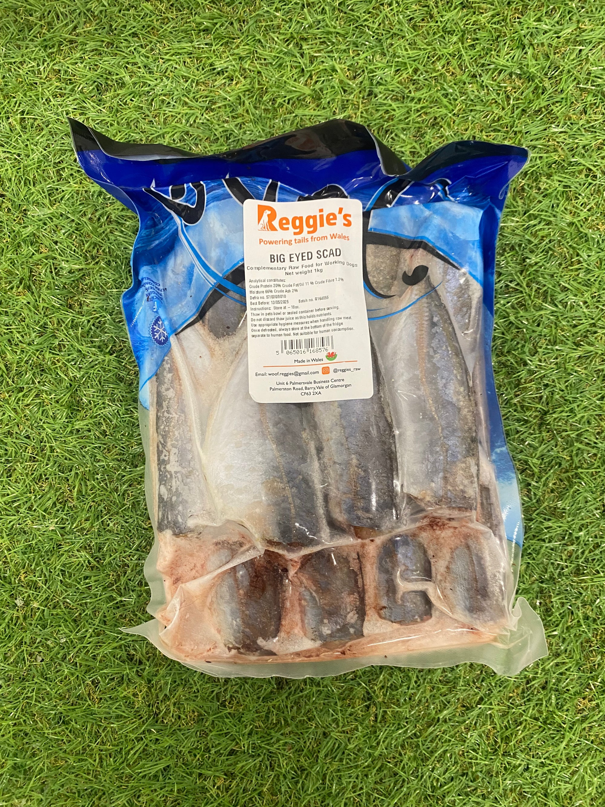 Reggies Big Eye Scad 1kg