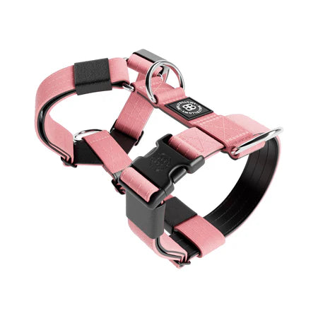 Bully Billows TRI Harness