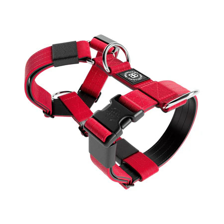 Bully Billows TRI Harness