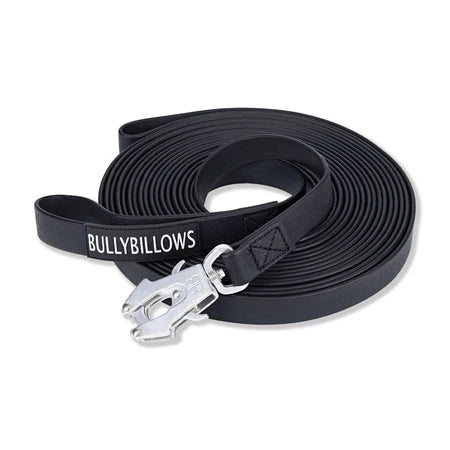 Bully Billows Recall Lead BillowThane