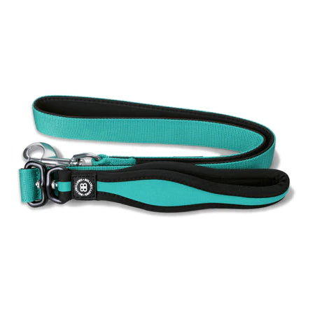 Bully Billows Snap Hook Leash