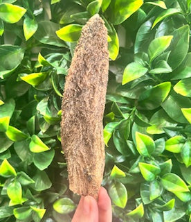 Beef Tripe stick